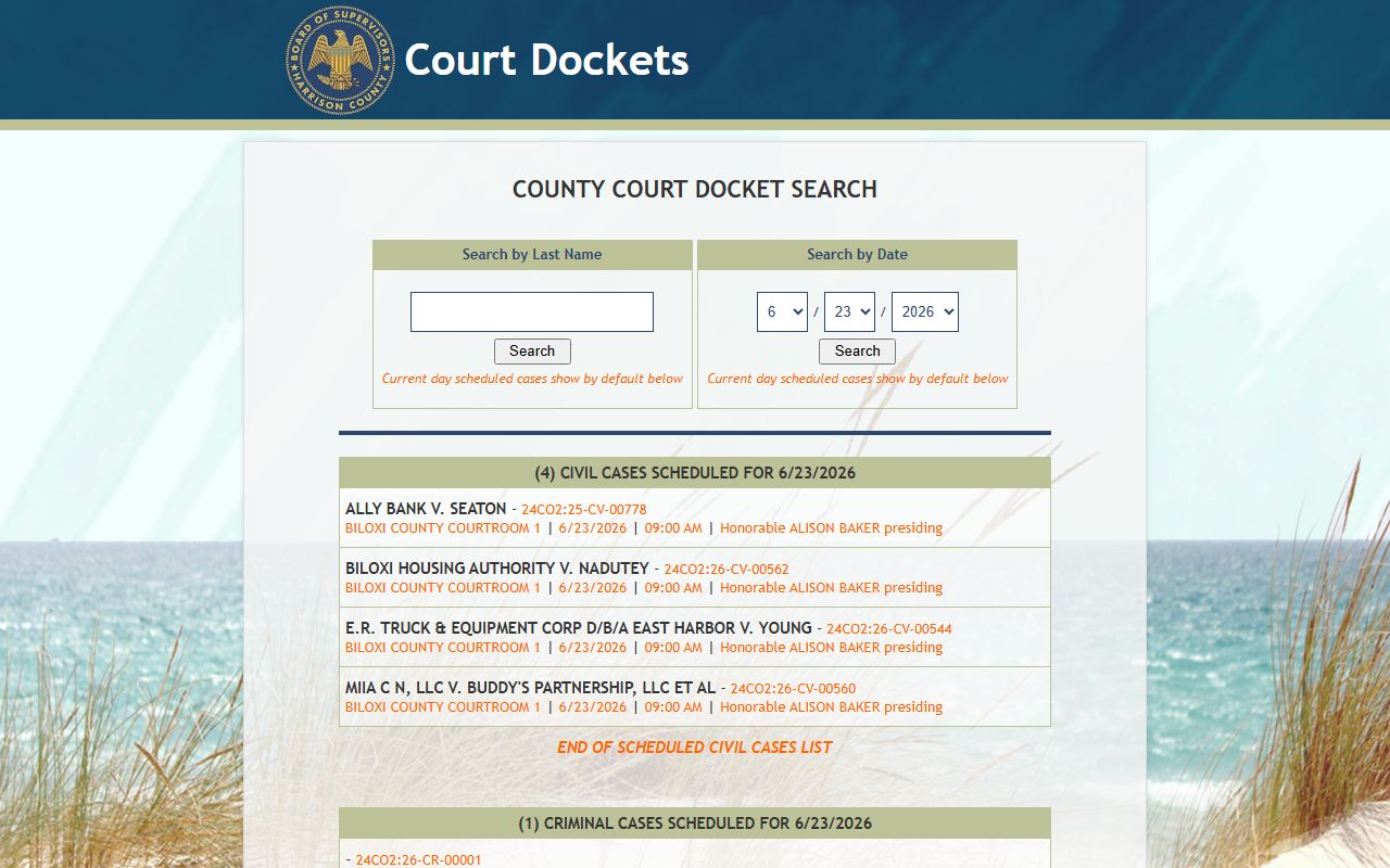 Harrison County court records County Court docket search page